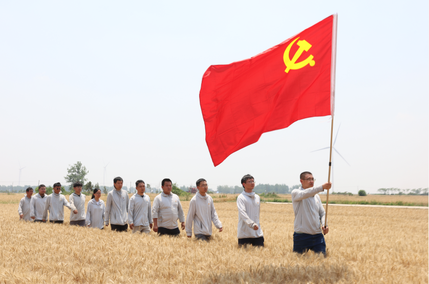 党旗闪耀麦浪间——潍柴雷沃护航大国粮安的国企担当