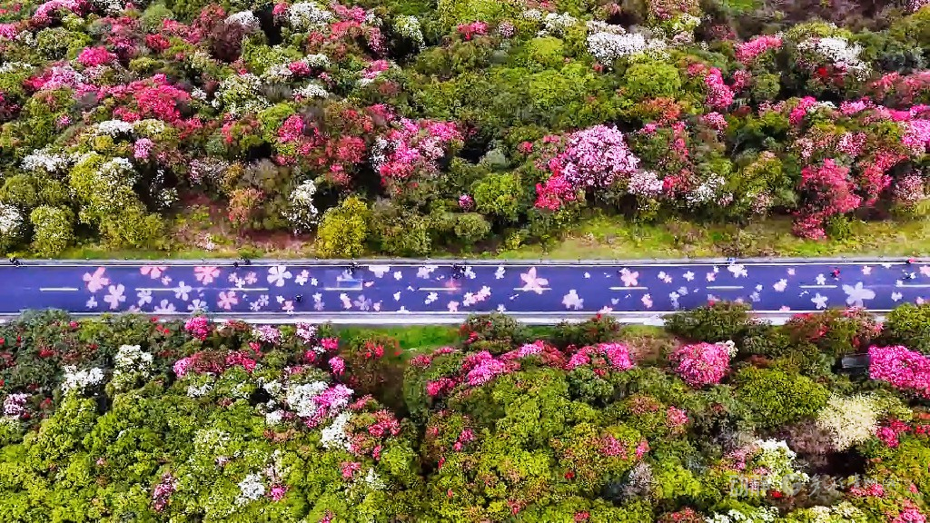 春假来了，带孩子登高赏春感受贵州的春天