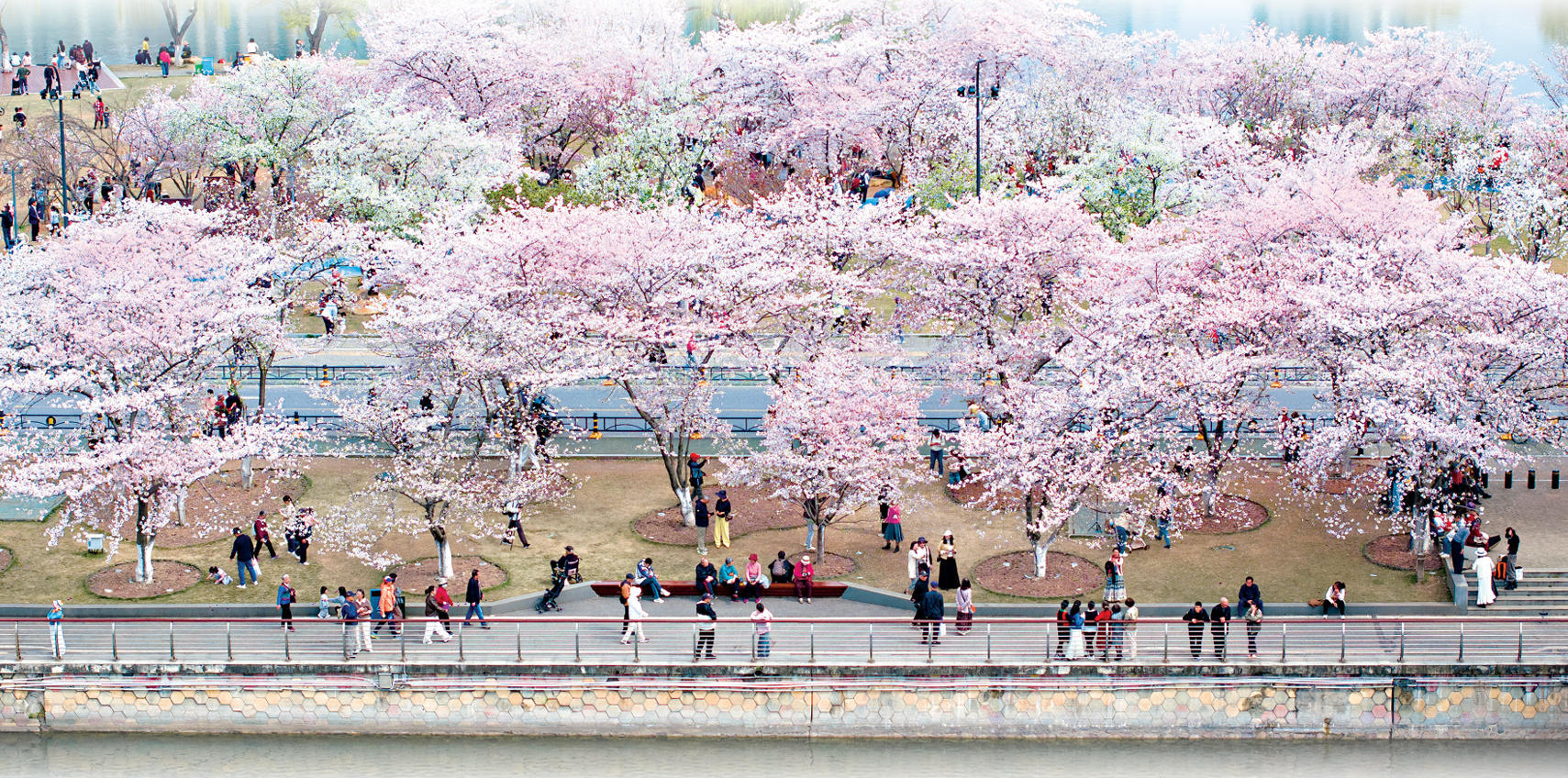 打造世界知名文化旅游目的地｜全球嘉宾看好武汉投资武汉文旅 世界知名 武汉可期