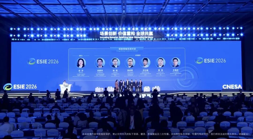 “做一单就跑”、“拿补贴去海外卷”…如何避免全球化一地鸡毛？｜储能领袖高端对话