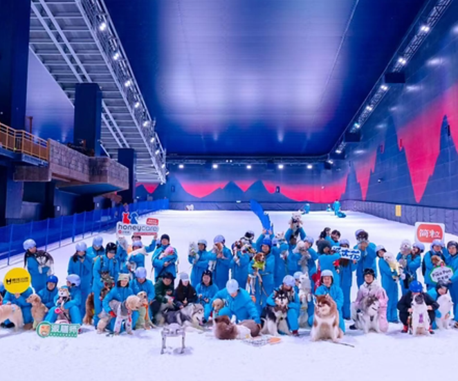 江苏太仓：以"冰雪+"破题暑期"高温夏淡" 打造全季文旅新增长极